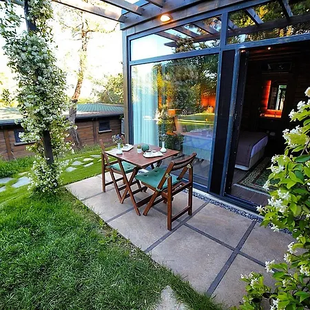 Triada Bueyuekada 5* Adalar