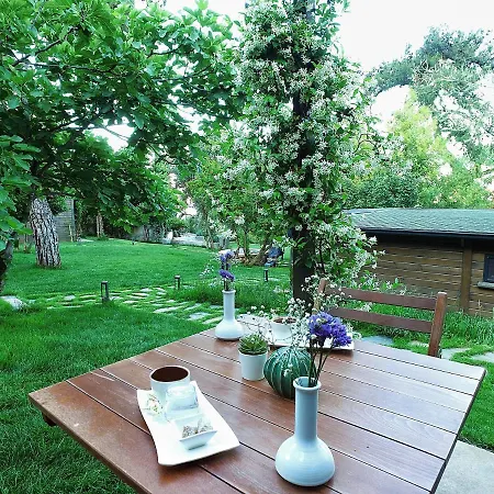 Hotel Triada Bueyuekada