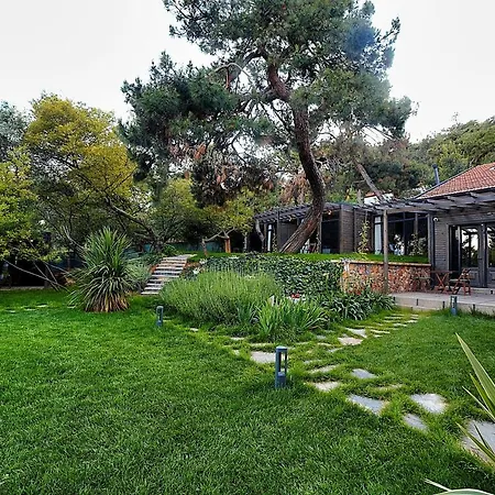 Hotel Triada Bueyuekada Adalar