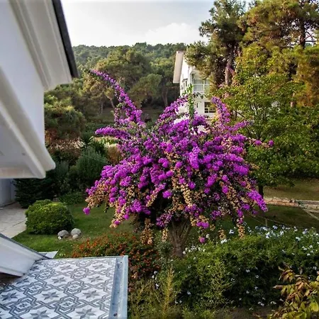 Triada Bueyuekada Hotel 5*