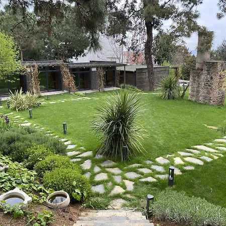 Triada Bueyuekada 5*