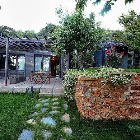 Triada Büyükada Adalar