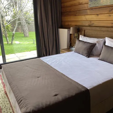 Triada Bueyuekada 5* Adalar