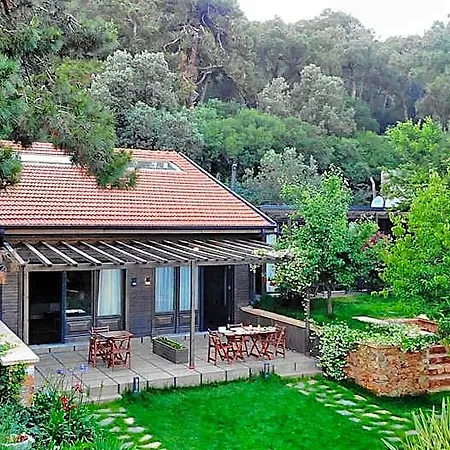 Triada Bueyuekada Hotel